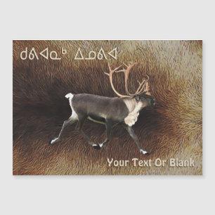 Carte Magnétique Kuvianak Innovia - Bull Caribou (Reindeer)