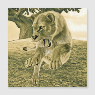 Carte Magnétique Lionne Chasseuse