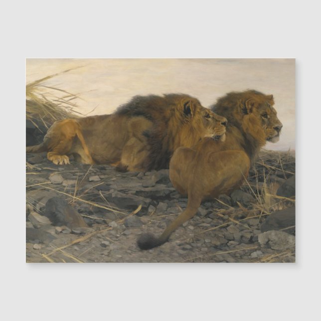 Carte Magnétique Lions à la veille par Wilhelm Kuhnert (Devant)