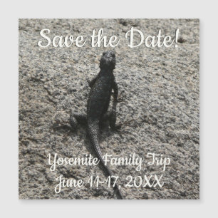 Carte Magnétique Lizard noir