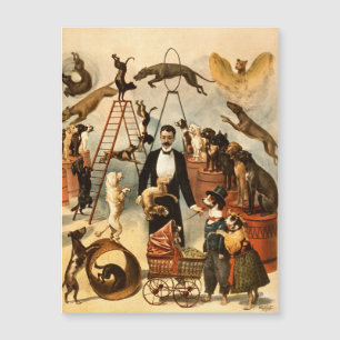Carte Magnétique Loi sur les chiens de cirque vintages entraînés Ch