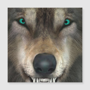 Carte Magnétique Loup