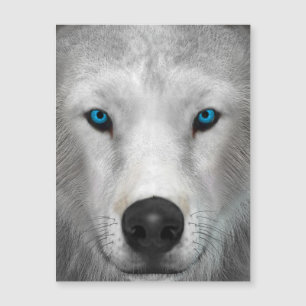 Carte Magnétique Loup Arctique