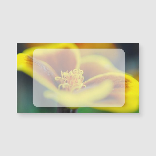 Carte Magnétique Marigold gros plan (Devant)