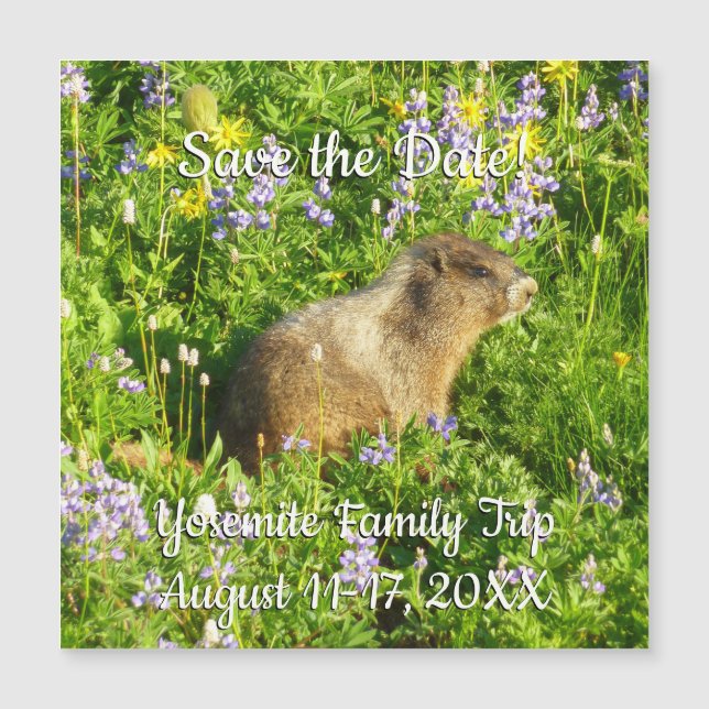 Carte Magnétique Marmot dans le Mont Rainier Fleurs sauvages (Devant)