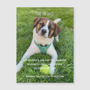 Carte Magnétique Mes humains se marient Photo Enregistrez la date