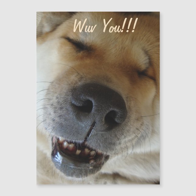 Carte Magnétique mignonne akita sourire drôle chien amour (Devant)