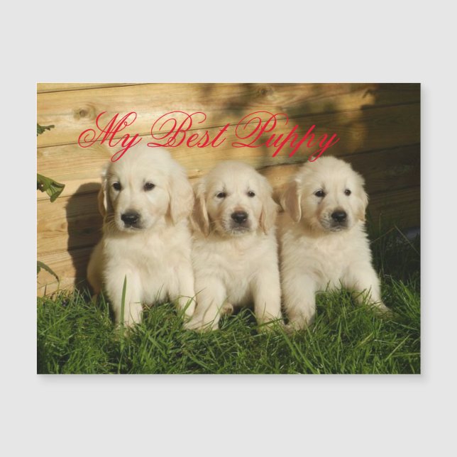 Carte Magnétique Mon meilleur chiot (Devant)