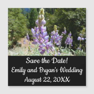 Carte Magnétique Mont Lupins