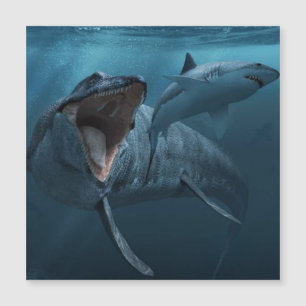 Carte Magnétique Mosasaurus pourchasse la photographie de requin