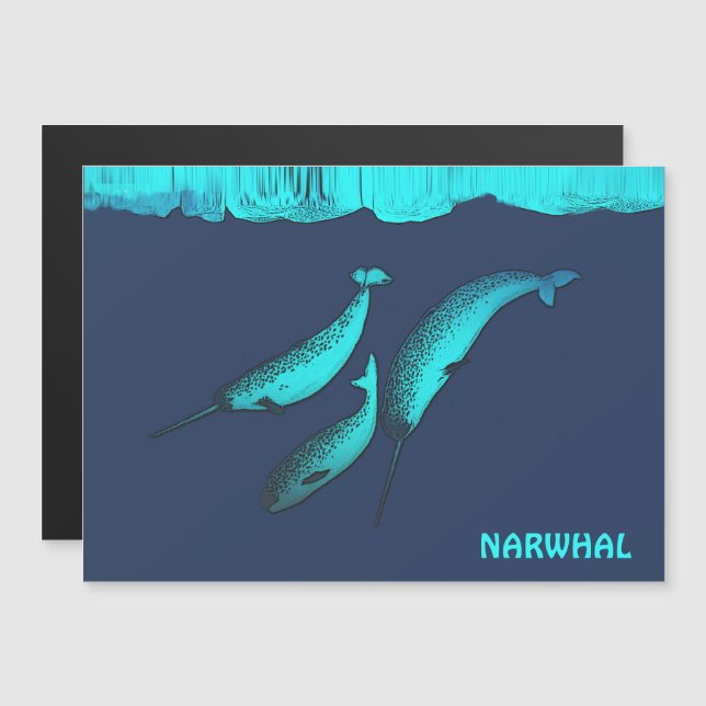 Carte Magnétique Narwhal Sous La Glace (Devant / Derrière)