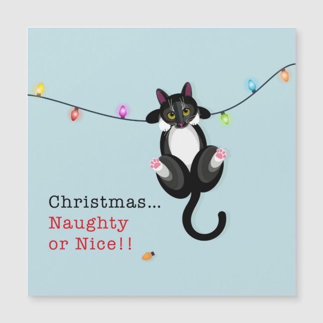 Carte Magnétique Noisie de Noël ou Nice (Devant)