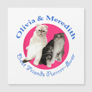 Carte Magnétique Olivia & Meredith - Meilleurs Amis Purrrr Ever