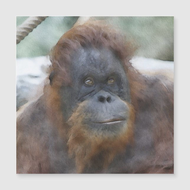 Carte Magnétique Orang aquarelle (Devant)