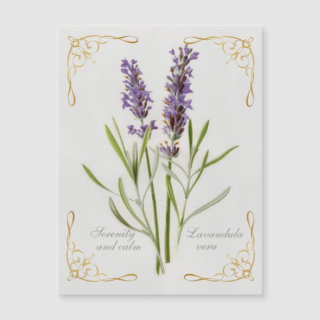 Carte Magnétique Painted Lavandula Vera Serenity et Calm (Devant)
