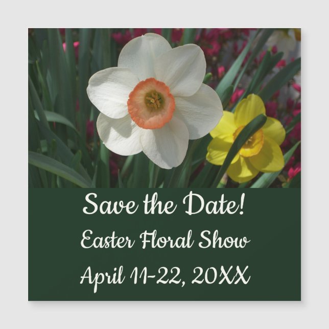 Carte Magnétique Pair of Daffodils Pink and Yellow Spring Flowers (Devant)