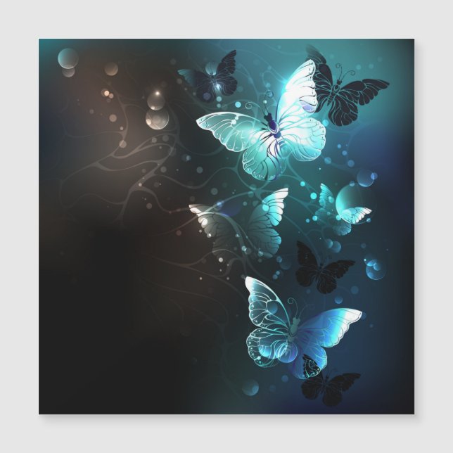 Carte Magnétique Papillons de nuit (Devant)