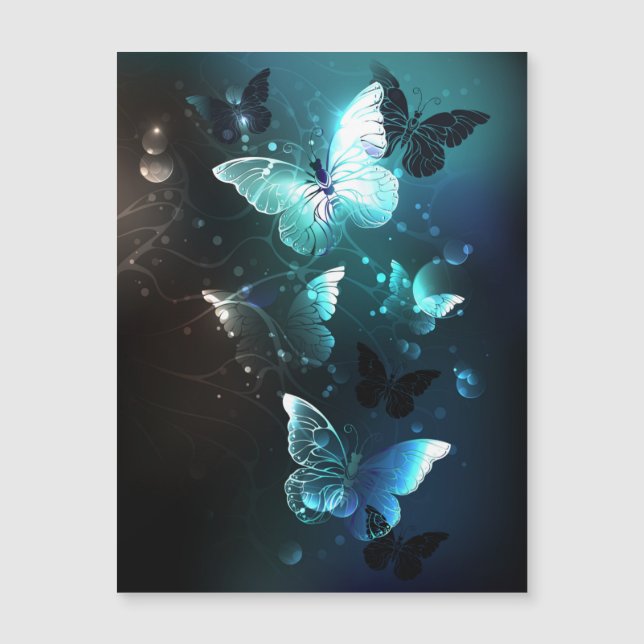 Carte Magnétique Papillons de nuit (Devant)