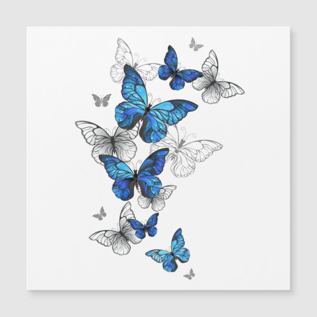 Carte Magnétique Papillons volants bleus Morpho (Devant)