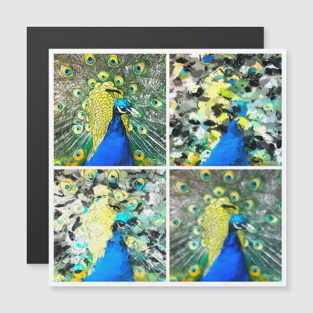 Carte magnétique Peacock Art (Devant / Derrière)