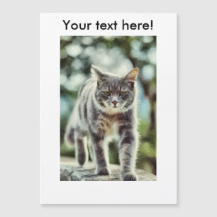 Carte Magnétique Peinture de chat