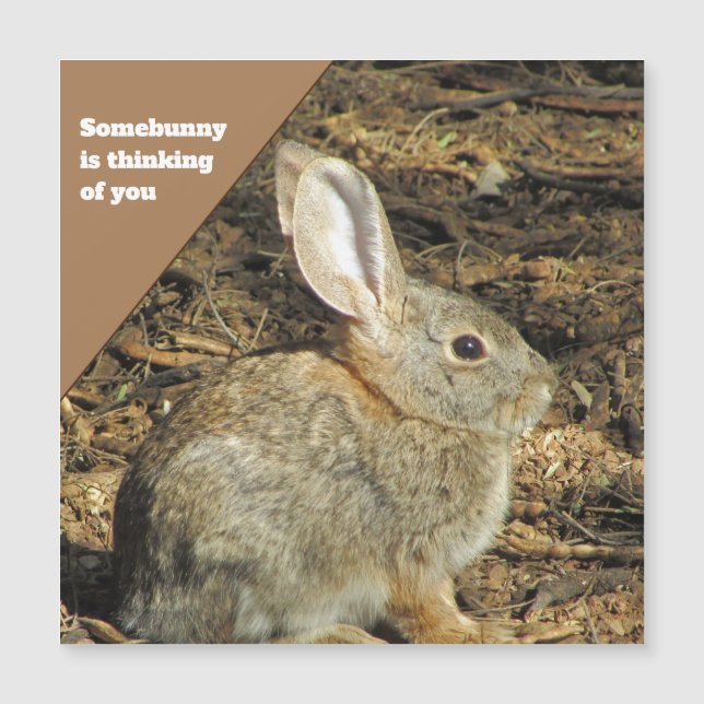 Carte Magnétique Penser à vous Brown lapin Photo Nature Animal (Devant)