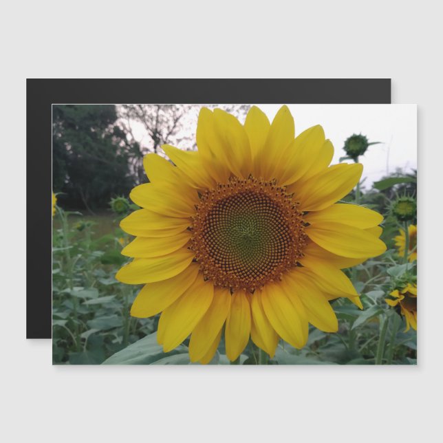 Carte Magnétique Personalized Image Magnetic Business Display Card (Devant / Derrière)