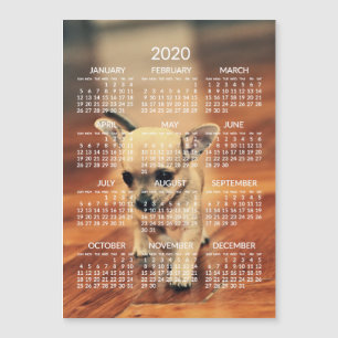 Carte magnétique photo Calendrier Chihuahua 2020 5