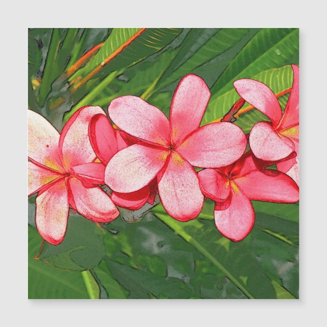 Carte Magnétique Plumerias (Devant)