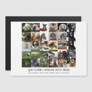 Carte Magnétique Prix les plus bas ! 35 x Collage de photos et text