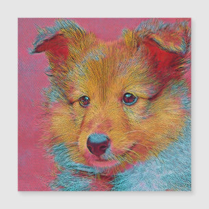 Carte Magnétique Pular Animals