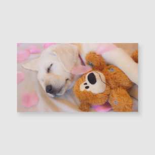 Carte Magnétique Puppy cuddles 02