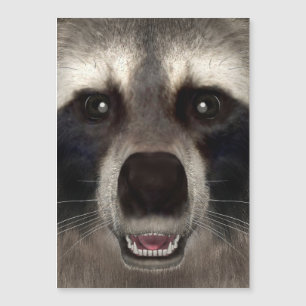 Carte Magnétique Raccoon