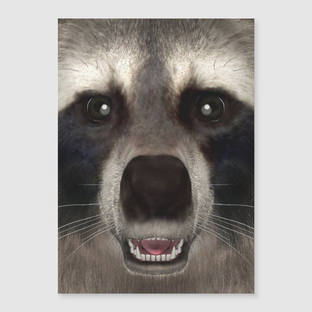 Carte Magnétique Raccoon (Devant)