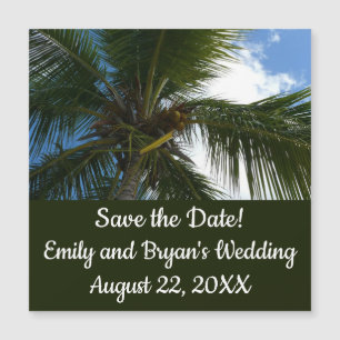 Carte Magnétique Regard sur le palmier à coco Nature tropicale