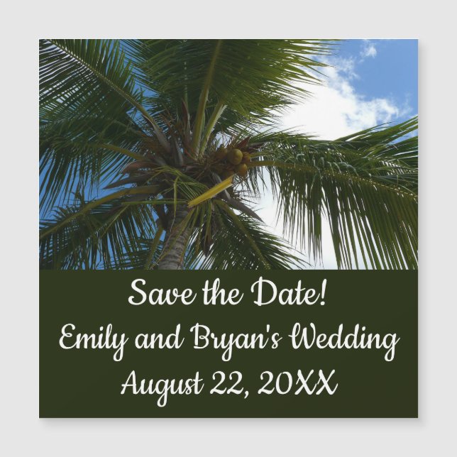 Carte Magnétique Regard sur le palmier à coco Nature tropicale (Devant)