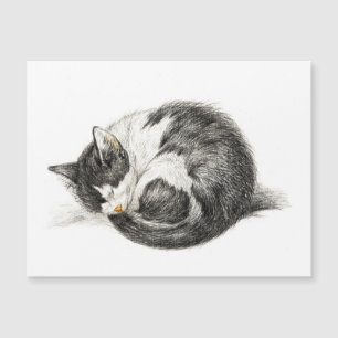 Carte Magnétique Rolled vers le haut couché chat (1825)