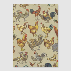 Carte Magnétique Rooster Poulet de la ferme Pays Animal