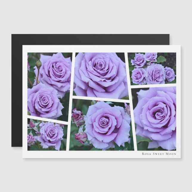 Carte Magnétique Rosa Sweet Moon (Devant / Derrière)