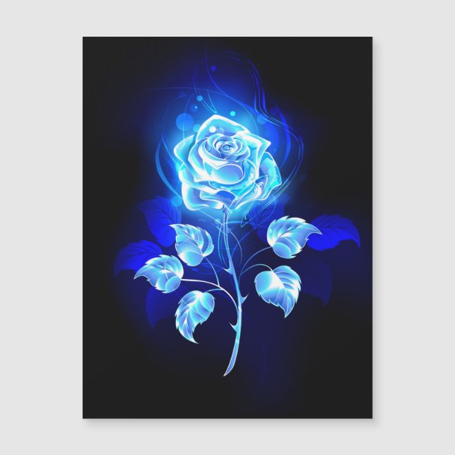 Carte Magnétique Rose bleu brûlant (Devant)
