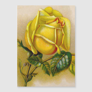 Carte Magnétique Rose jaune Antique Vintage Imprimer Art