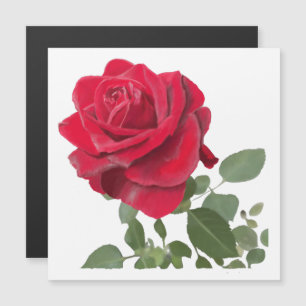 Carte Magnétique Rose rouge peinture