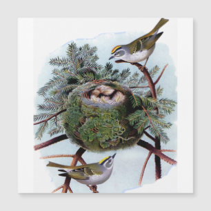 Carte Magnétique royaume à couronne dorée  