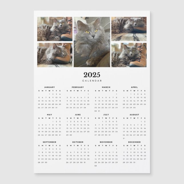 Carte Magnétique Russe Bleu Nebelung Chat Magnétique 2025 Calendrie (Devant)