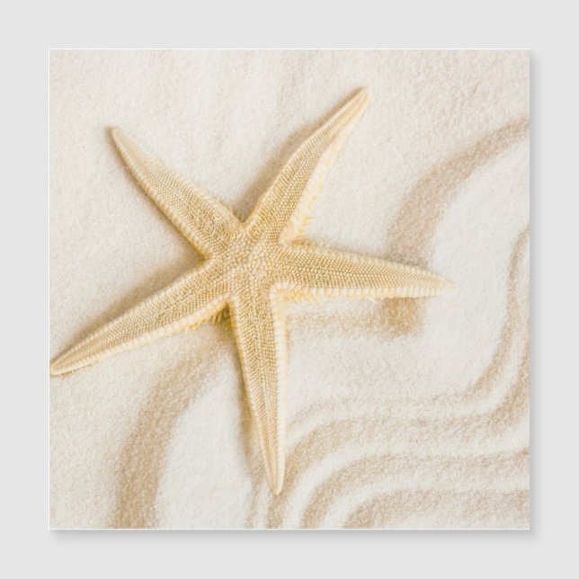 Carte Magnétique Sable et Starfish couleur neutre naturelle (Devant)