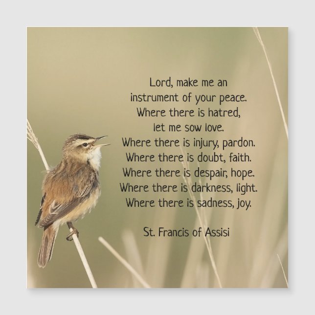 Carte Magnétique Saint François d'Assise Prière Oiseau Inspirationn (Devant)
