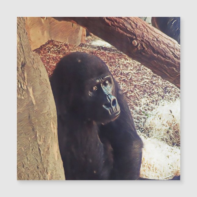 Carte Magnétique SmartMix Animal-Gorilla (Devant)