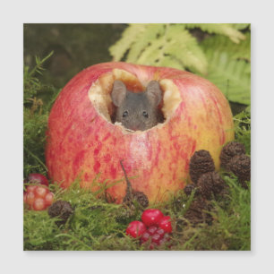 Carte Magnétique souris à pomme