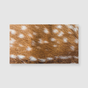 Carte Magnétique Spotted deer pour texture