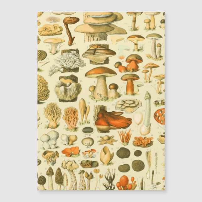 Carte Magnétique Tabouret de toilette Vintage de champignons Illust (Devant)